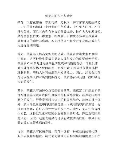 刺菜花的作用与功效