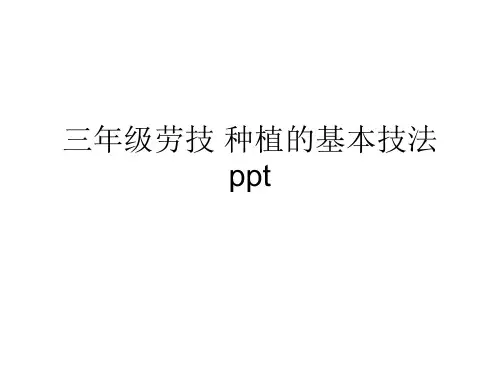 三年级劳技 种植的基本技法 ppt