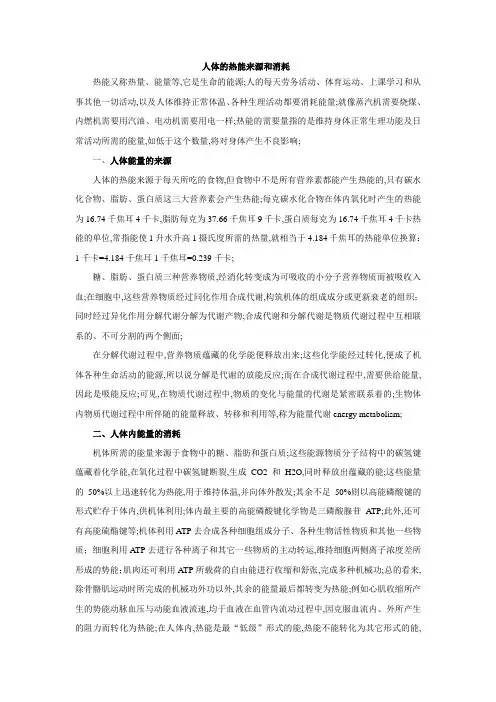 人体的热能来源和消耗