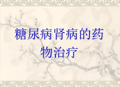 糖尿病肾病及肾功能不全的药物治疗