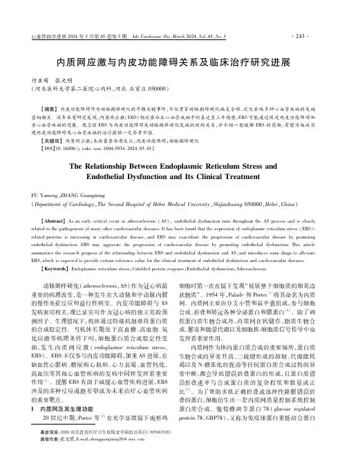内质网应激与内皮功能障碍关系及临床治疗研究进展