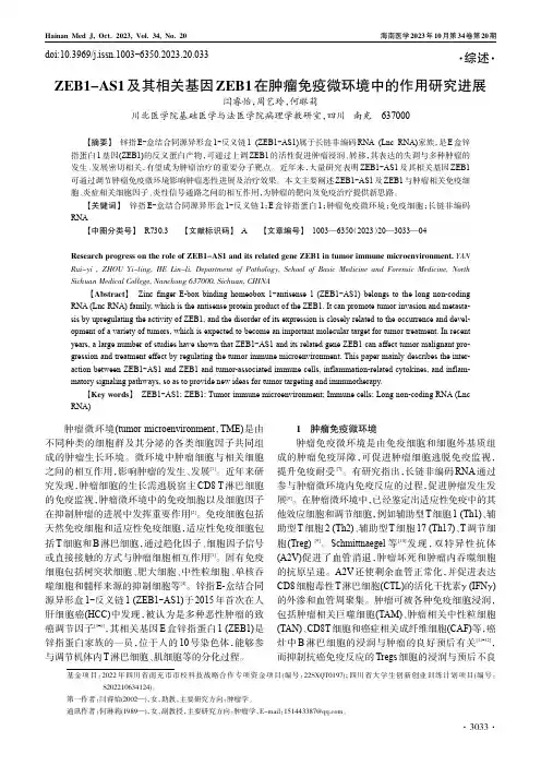ZEB1-AS1及其相关基因ZEB1在肿瘤免疫微环境中的作用研究进展