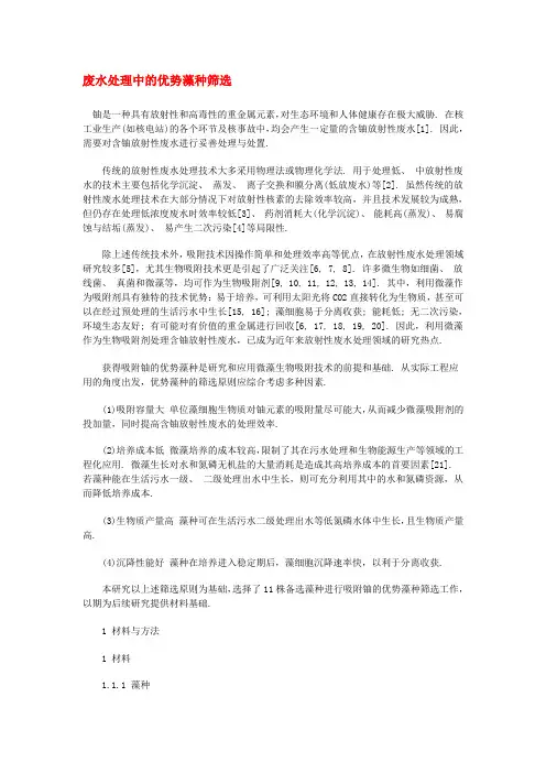 废水处理中的优势藻种筛选
