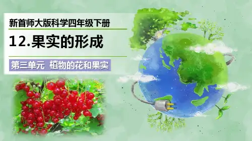 新首师大版科学四年级下册第三单元 植物的花和果实《果实的形成》优质课件