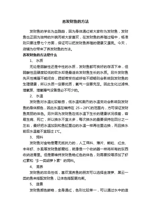 养发财鱼的方法