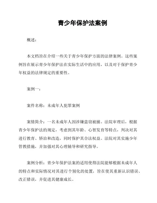 青少年保护法案例