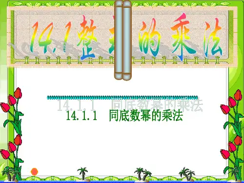 同底数幂的乘法 (PPT课件)