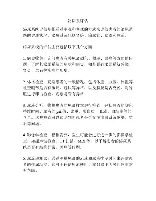 泌尿系评估