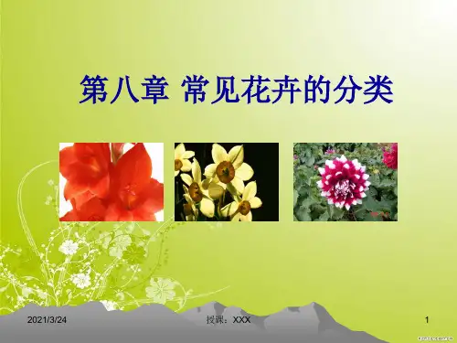 常见花卉的分类PPT课件