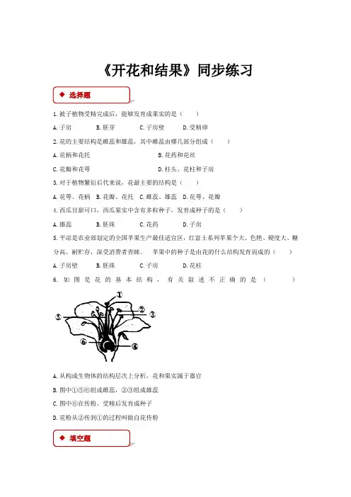 初中人教版生物七年级上册3.2.3【同步练习】《开花和结果》