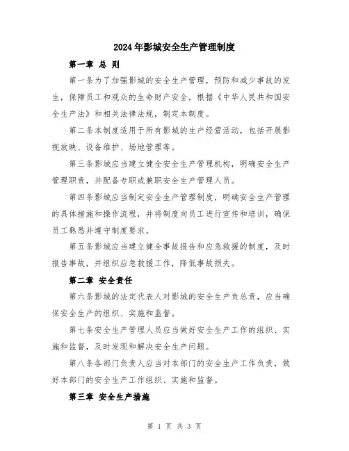 2024年影城安全生产管理制度