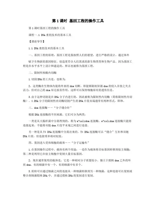 第1课时 基因工程的操作工具