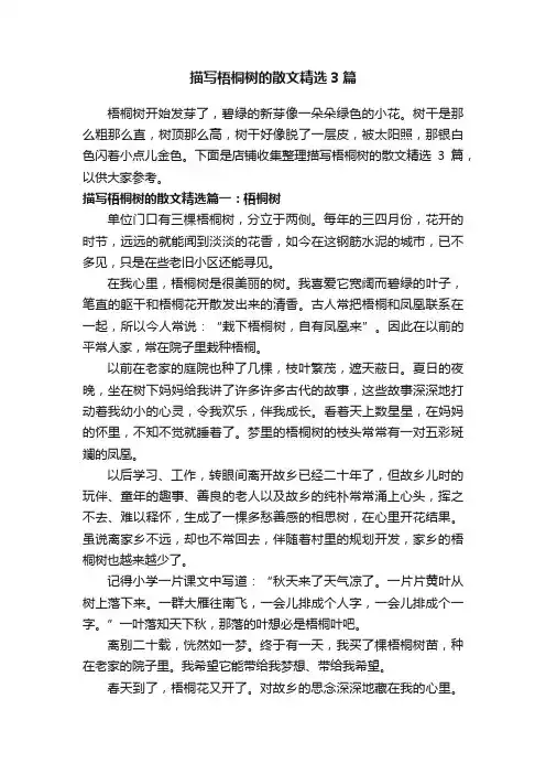 描写梧桐树的散文精选3篇
