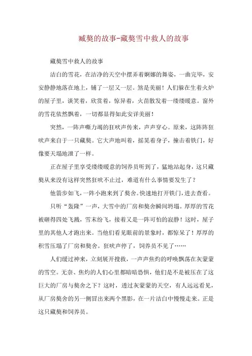 臧獒的故事-藏獒雪中救人的故事
