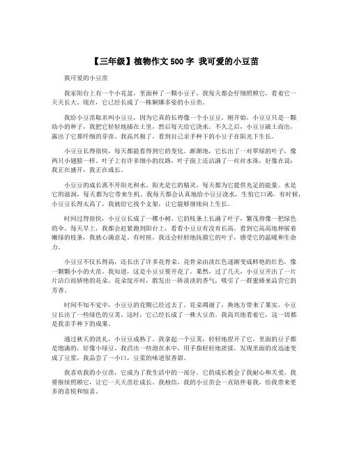 【三年级】植物作文500字 我可爱的小豆苗