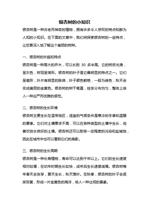 银杏树的小知识