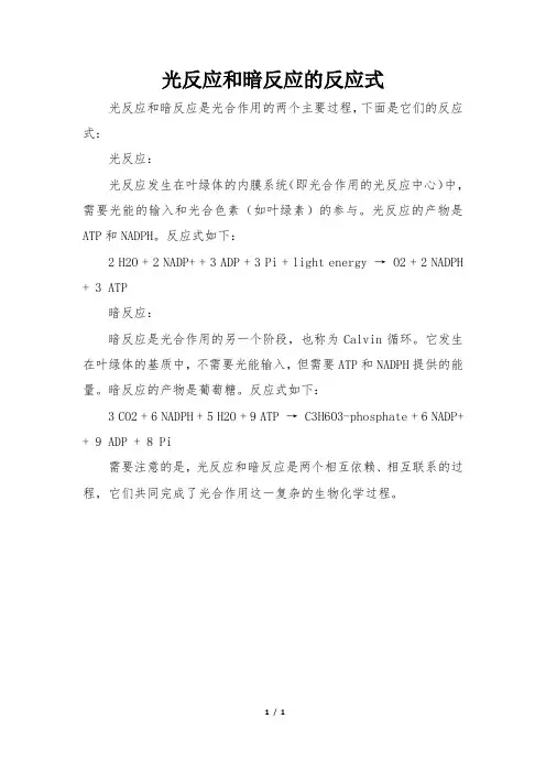 光反应和暗反应的反应式