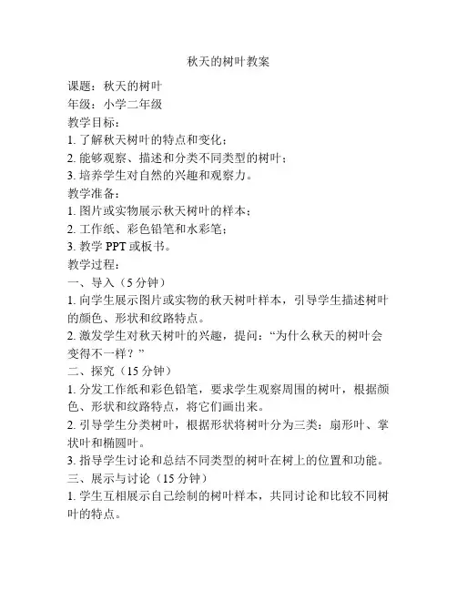 秋天的树叶教案