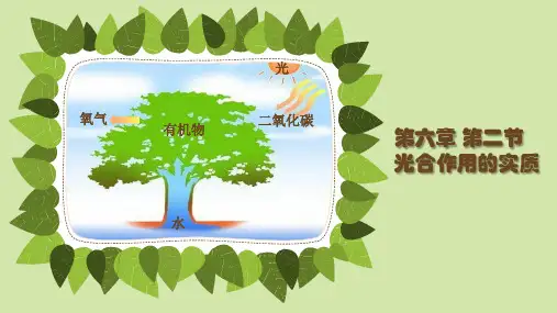 苏教版初中生物七年级上册第三单元第六章第三节 植物光合作用的实质 课件(17张PPT)