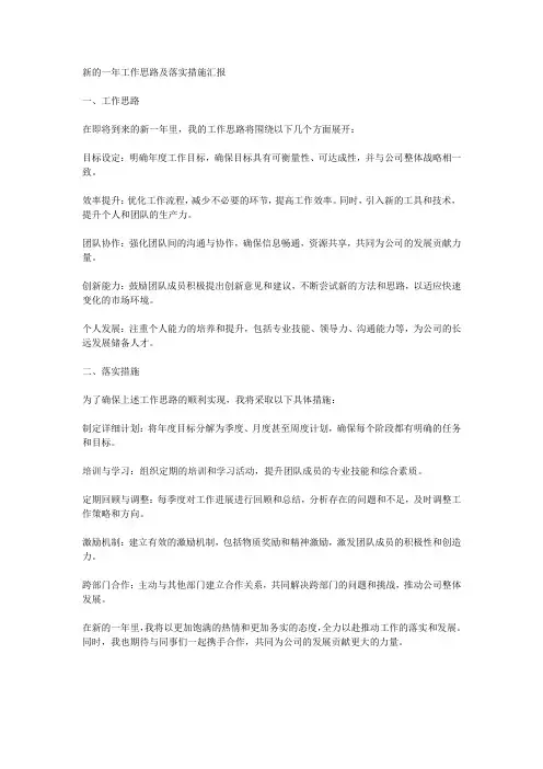 汇报新的一年工作思路及落实措施