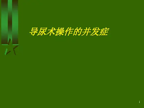 导尿术操作的并发症PPT课件