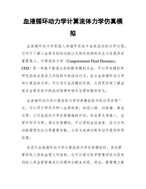 血液循环动力学计算流体力学仿真模拟