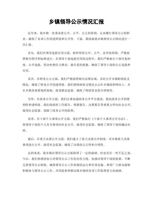 乡镇领导公示情况汇报