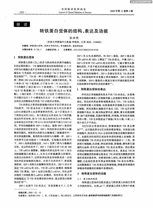 转铁蛋白受体的结构、表达及功能