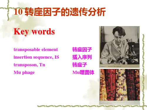 10 转座因子的遗传分析 南开大学遗传学课件