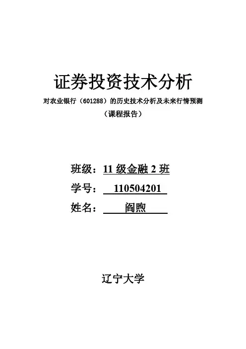 农业银行技术投资分析