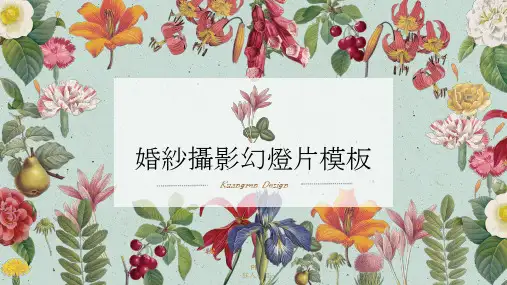 婚纱摄影幻灯片PPT模板
