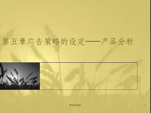 《产品分析》PPT课件