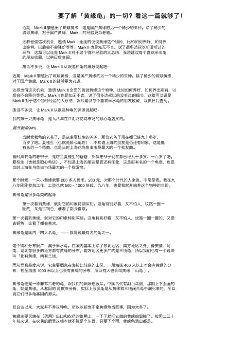 要了解「黄缘龟」的一切？看这一篇就够了！