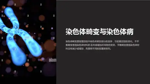 染色体畸变与染色体病