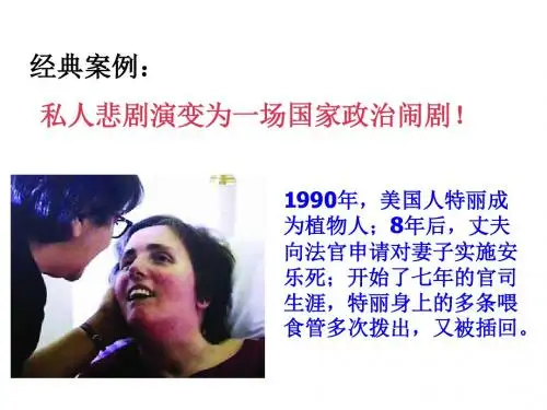 3.3 美国的三权分立制
