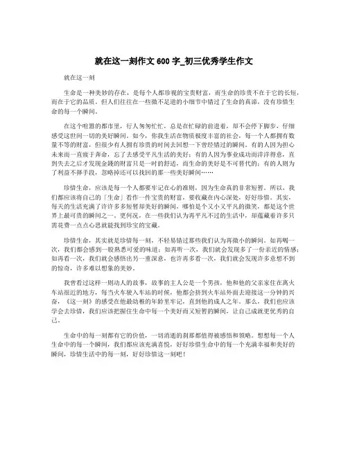 就在这一刻作文600字_初三优秀学生作文