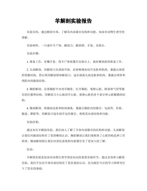 羊解剖实验报告