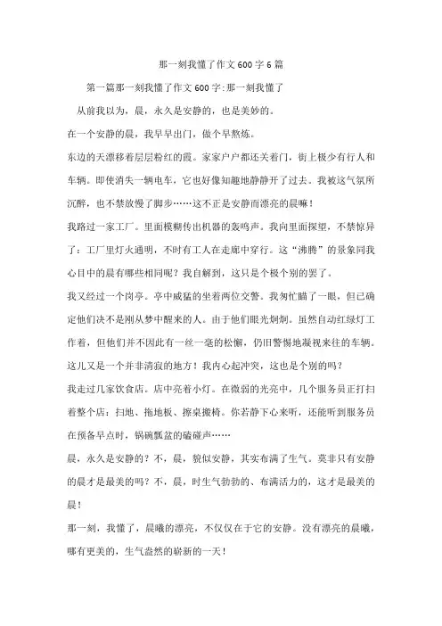 那一刻我懂了作文600字6篇