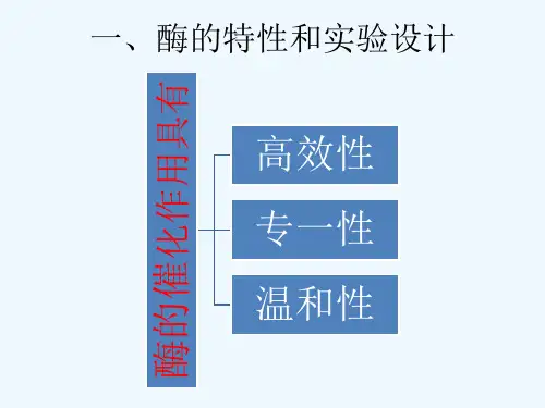 酶的催化作用特性及实验设计