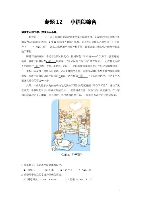 专题12   小语段综合