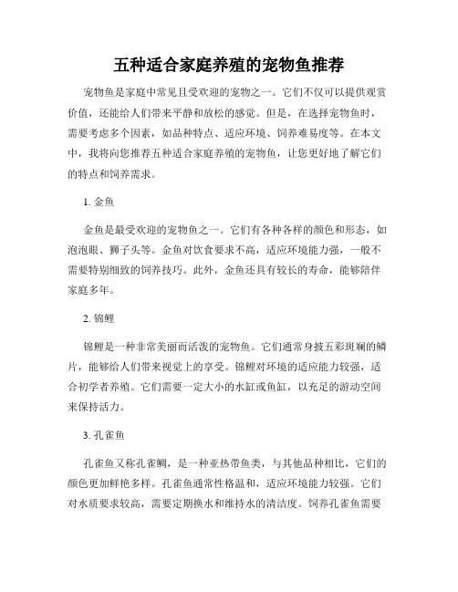 五种适合家庭养殖的宠物鱼推荐