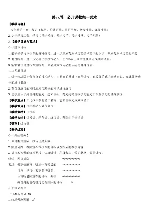 公开课 武术