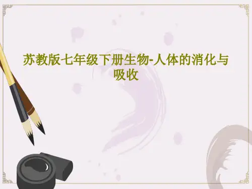 苏教版七年级下册生物-人体的消化与吸收共25页PPT