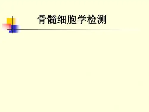 骨髓形态学