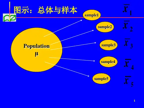 总体均数估计ppt课件46页PPT