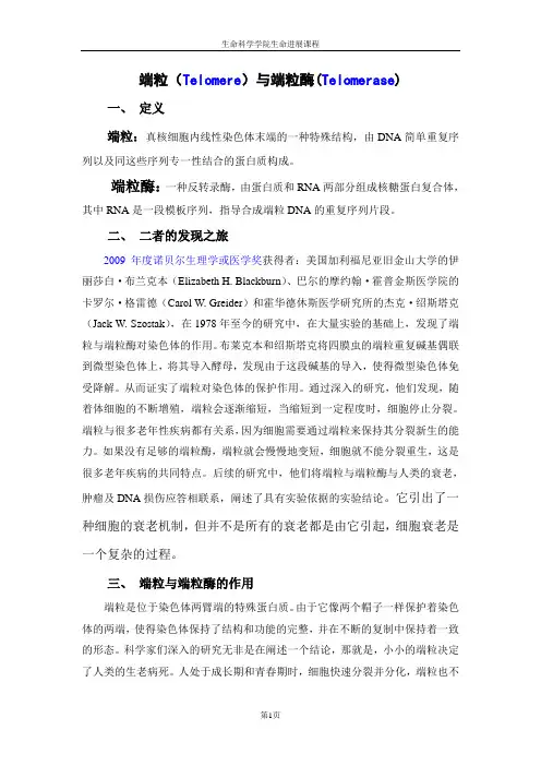 端粒