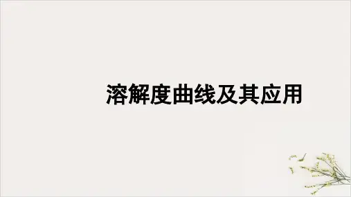 中考化学复习PPT课件-溶解度曲线及其应用精品课件