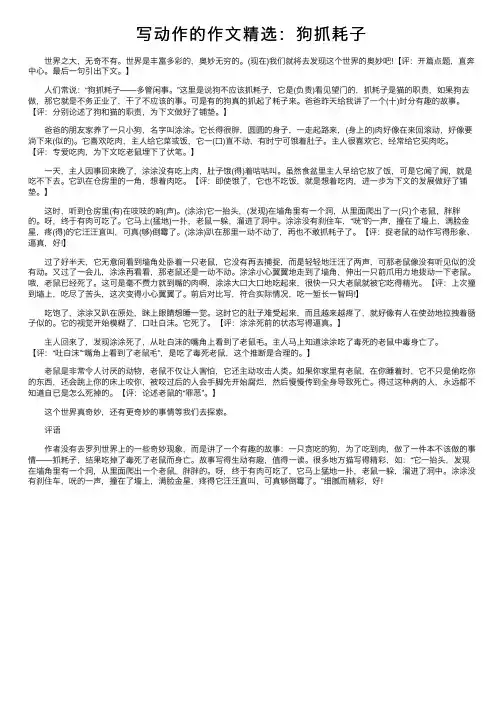 写动作的作文精选：狗抓耗子