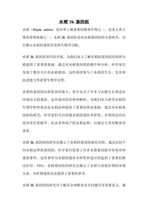 水稻3k基因组