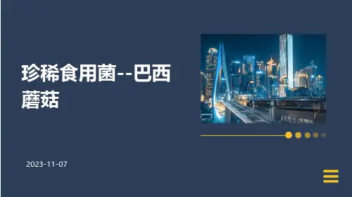 珍稀食用菌--巴西蘑菇